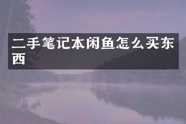 二手笔记本闲鱼怎么买东西