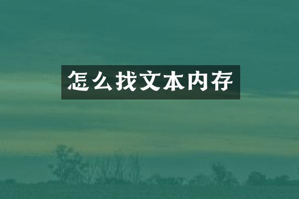 怎么找文本内存