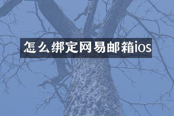 怎么绑定网易邮箱ios