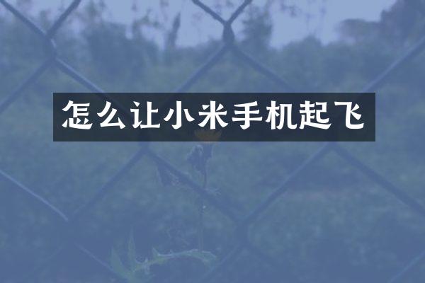 怎么让小米手机起飞