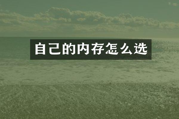 自己的内存怎么选