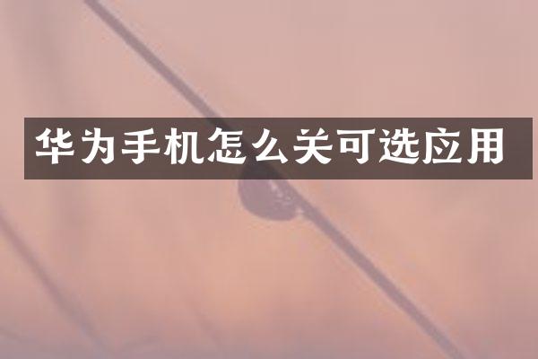 华为手机怎么关可选应用