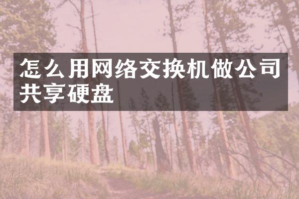 怎么用网络交换机做公司共享硬盘