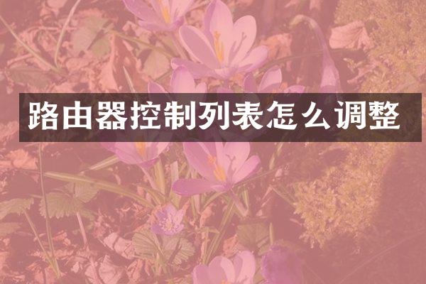 路由器控制列表怎么调整