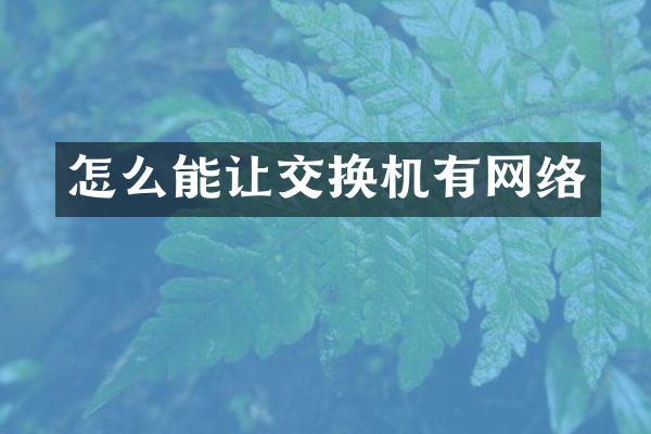怎么能让交换机有网络