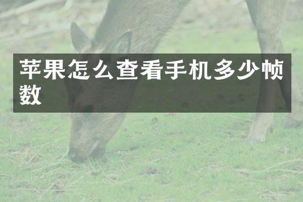 苹果怎么查看手机多少帧数