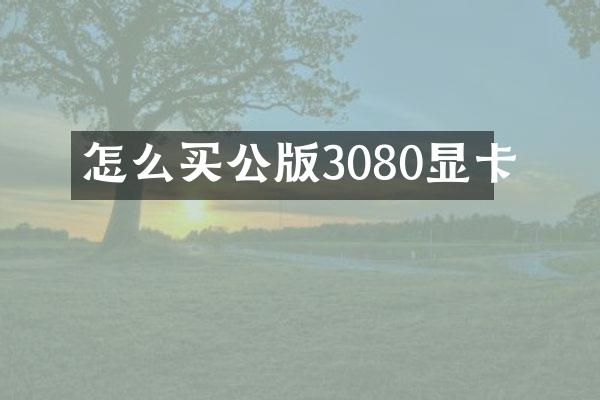 怎么买公版3080显卡
