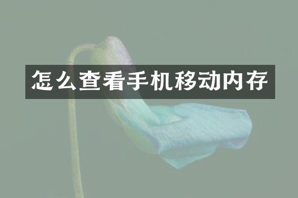 怎么查看手机移动内存