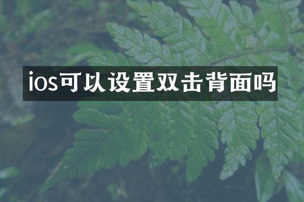 ios可以设置双击背面吗