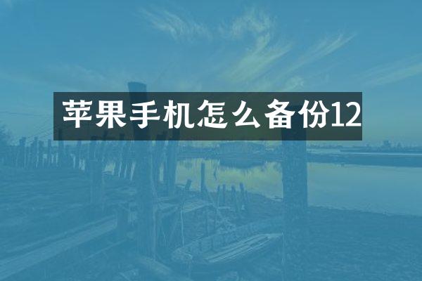 苹果手机怎么备份12