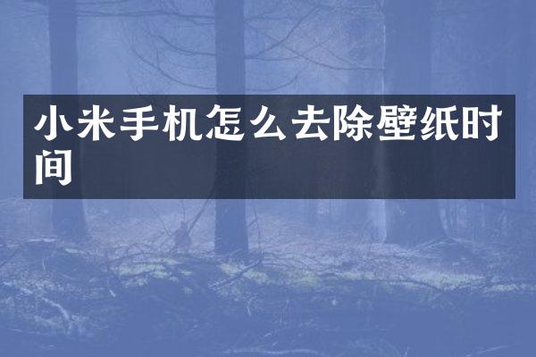 小米手机怎么去除壁纸时间