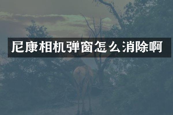 尼康相机弹窗怎么消除啊