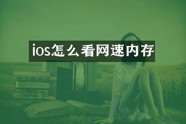 ios怎么看网速内存