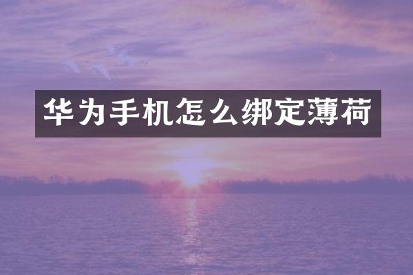 华为手机怎么绑定薄荷