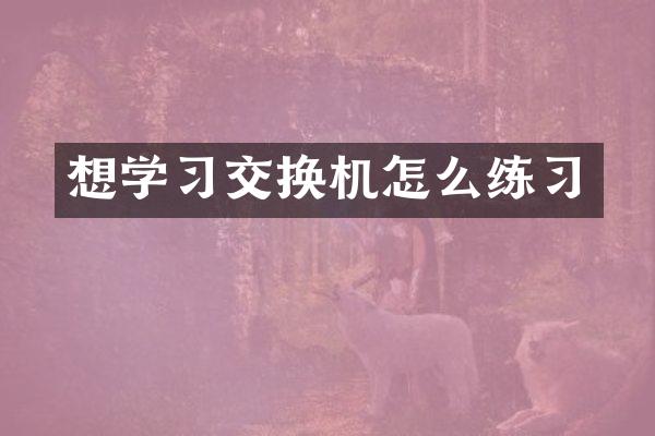 想学习交换机怎么练习