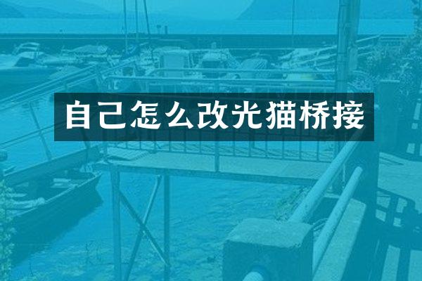 自己怎么改光猫桥接