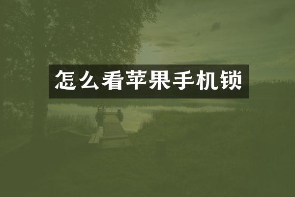 怎么看苹果手机锁