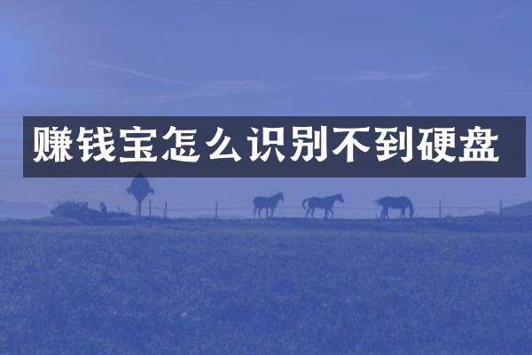 赚钱宝怎么识别不到硬盘