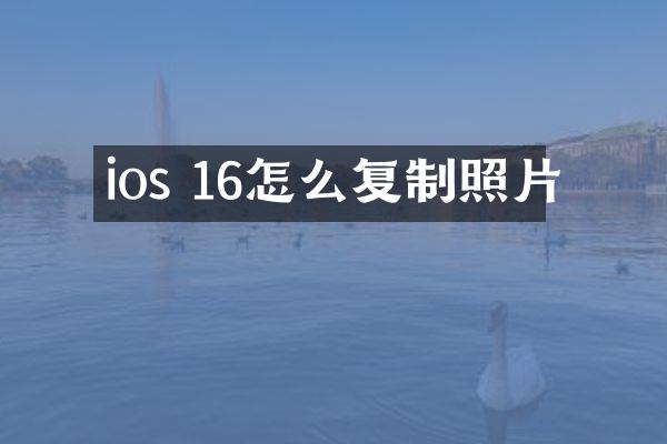 ios 16怎么复制照片