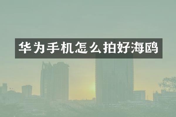 华为手机怎么拍好海鸥