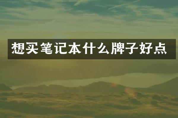 想买笔记本什么牌子好点