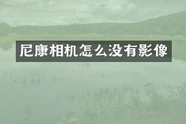 尼康相机怎么没有影像
