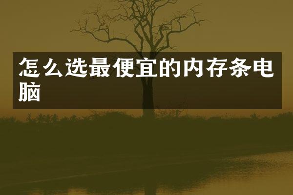 怎么选的内存条电脑
