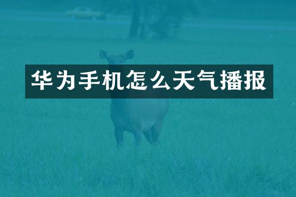 华为手机怎么天气播报
