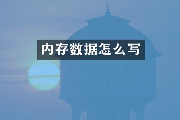 内存数据怎么写