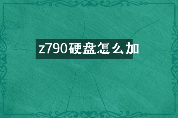 z790硬盘怎么加