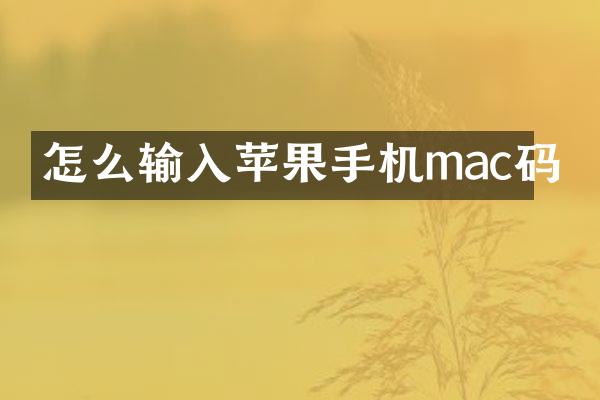 怎么输入苹果手机mac码