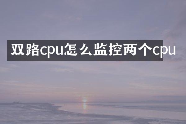 双路cpu怎么监控两个cpu