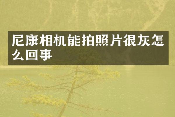 尼康相机能拍照片很灰怎么回事