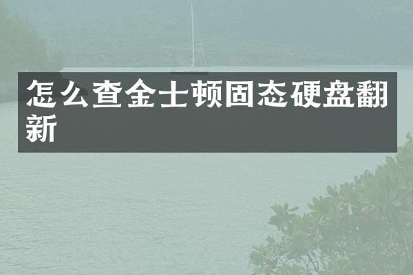 怎么查金士顿固态硬盘翻新