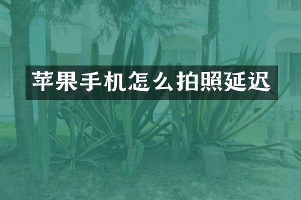 苹果手机怎么拍照延迟