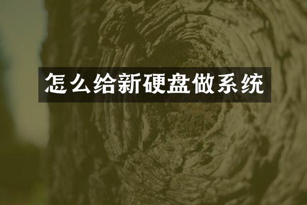 怎么给新硬盘做系统