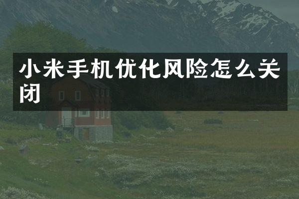 小米手机优化风险怎么关闭