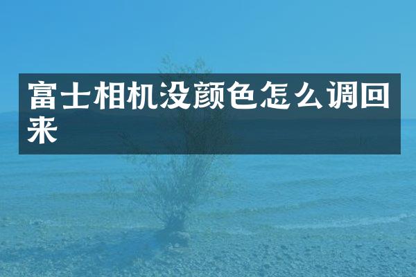 富士相机没颜色怎么调回来