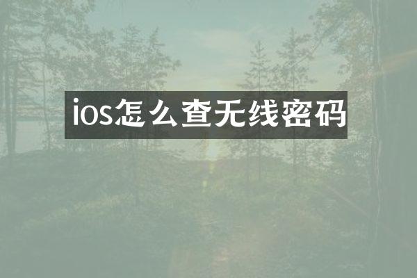 ios怎么查无线密码
