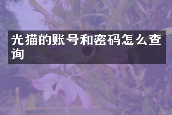 光猫的账号和密码怎么查询