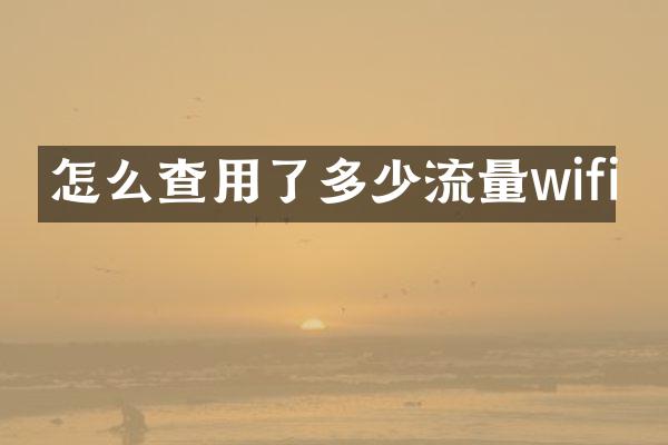 怎么查用了多少流量wifi