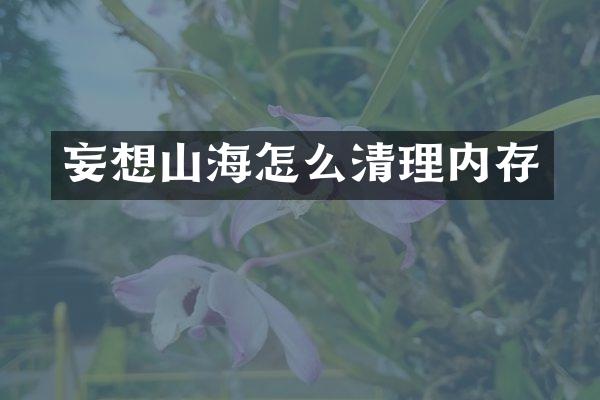 妄想山海怎么清理内存