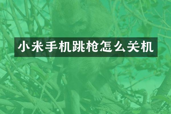 小米手机跳枪怎么关机