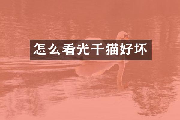 怎么看光千猫好坏