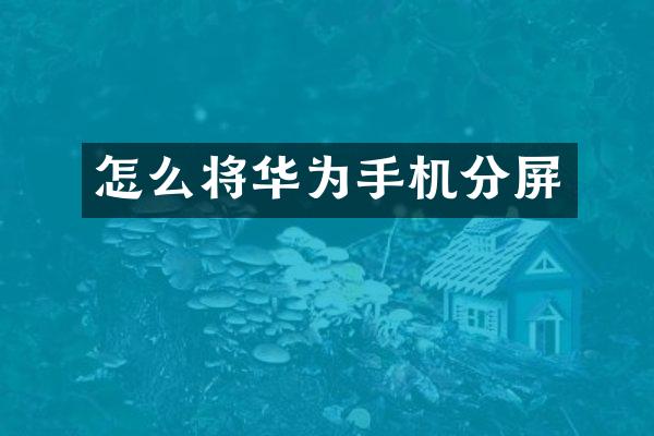怎么将华为手机分屏