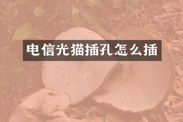 电信光猫插孔怎么插