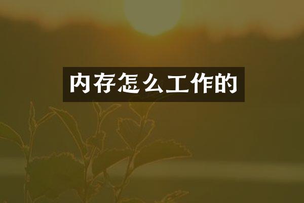 内存怎么工作的