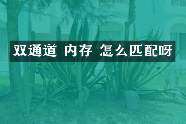 双通道 内存 怎么匹配呀