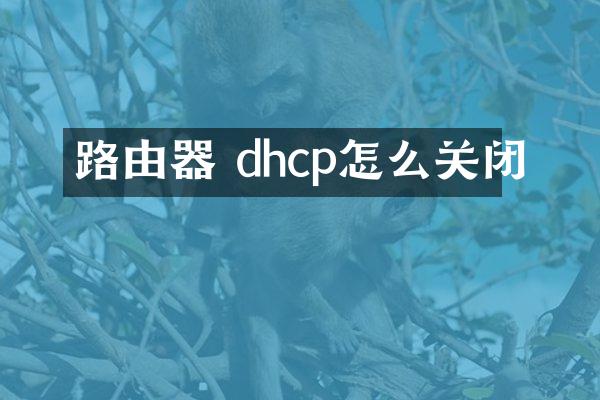 路由器 dhcp怎么关闭