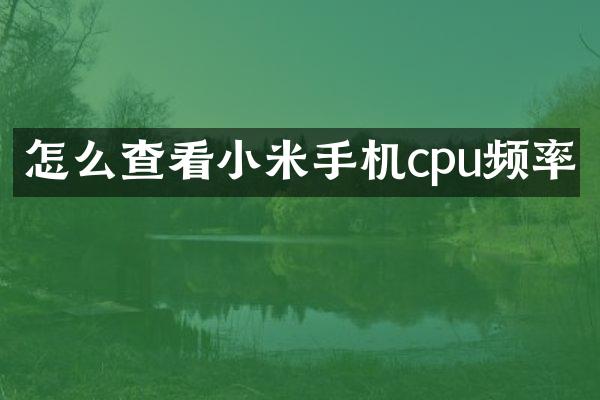 怎么查看小米手机cpu频率